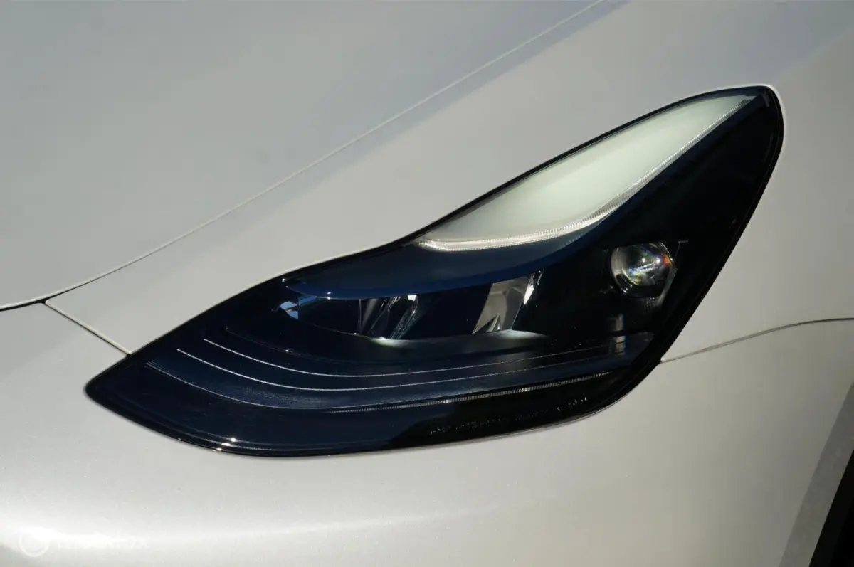 RWD 58 kWh Premium Leather FSD Pano Trekhaak !