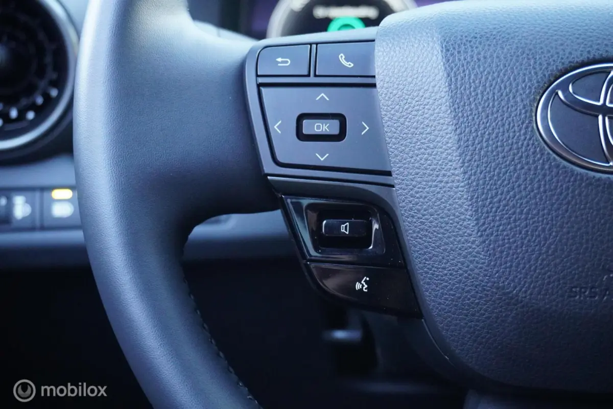 2.0 Plug-in Hybrid 220 Dynamic