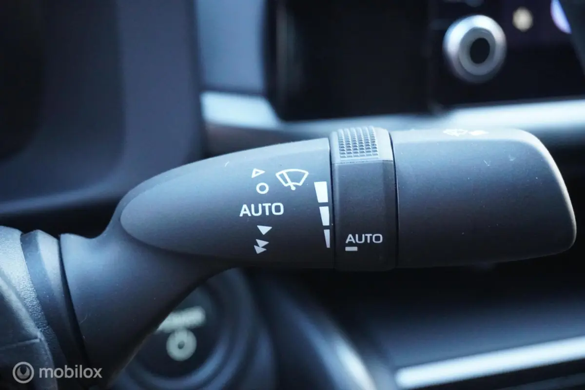2.0 Plug-in Hybrid 220 Dynamic