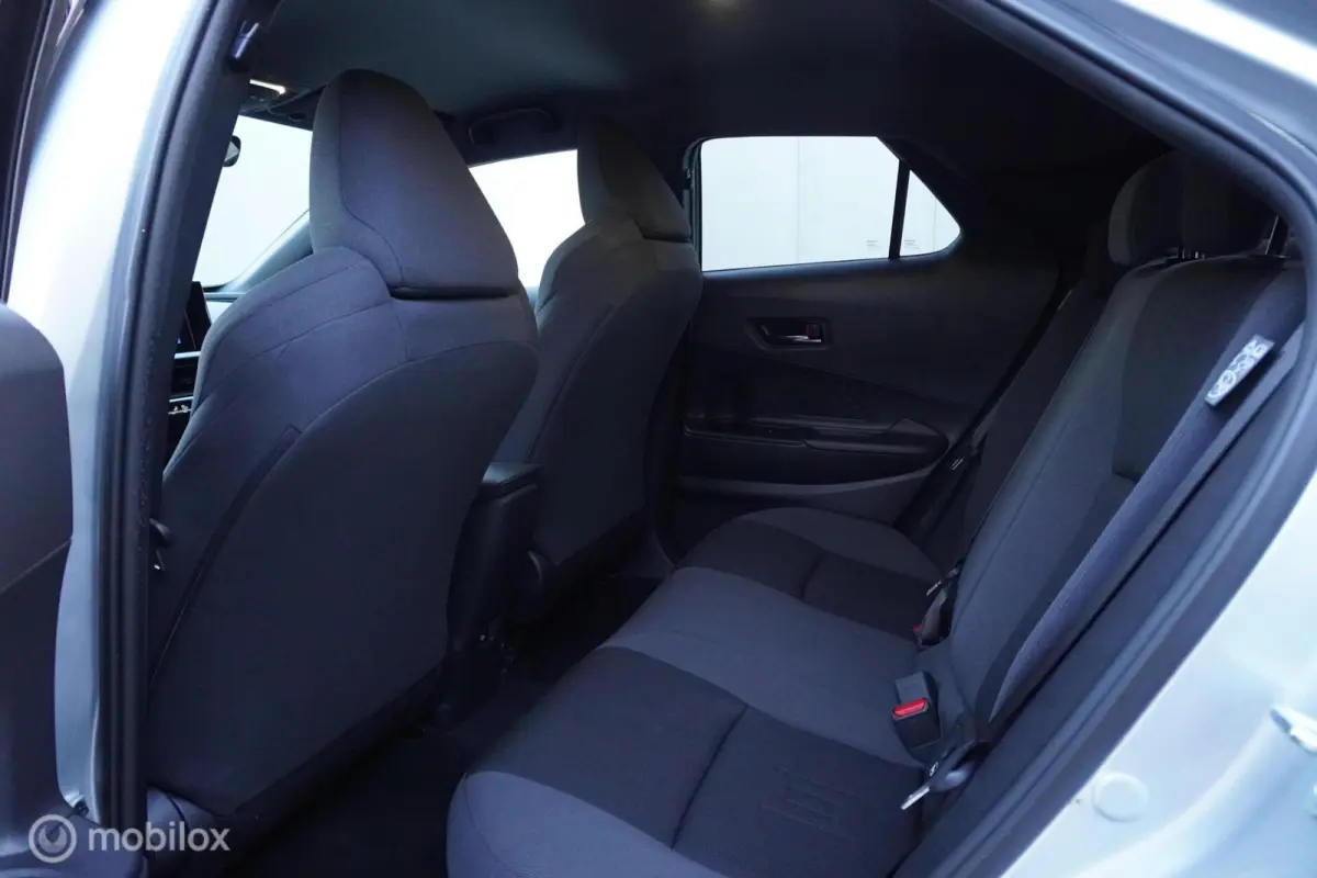 2.0 Plug-in Hybrid 220 Dynamic