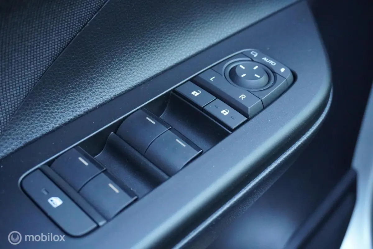 2.0 Plug-in Hybrid 220 Dynamic
