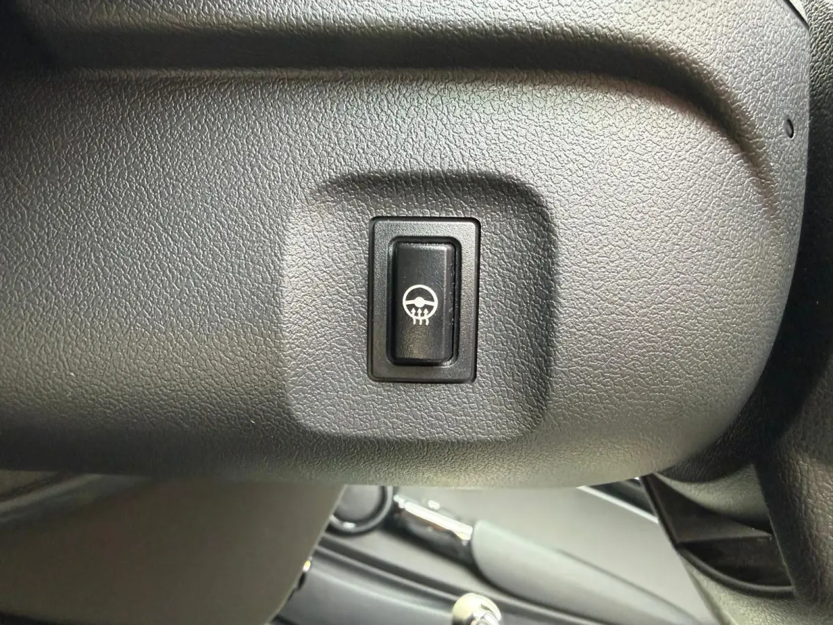 Classic 33 kWh | PANO | Keyless | SOH 97.0% |