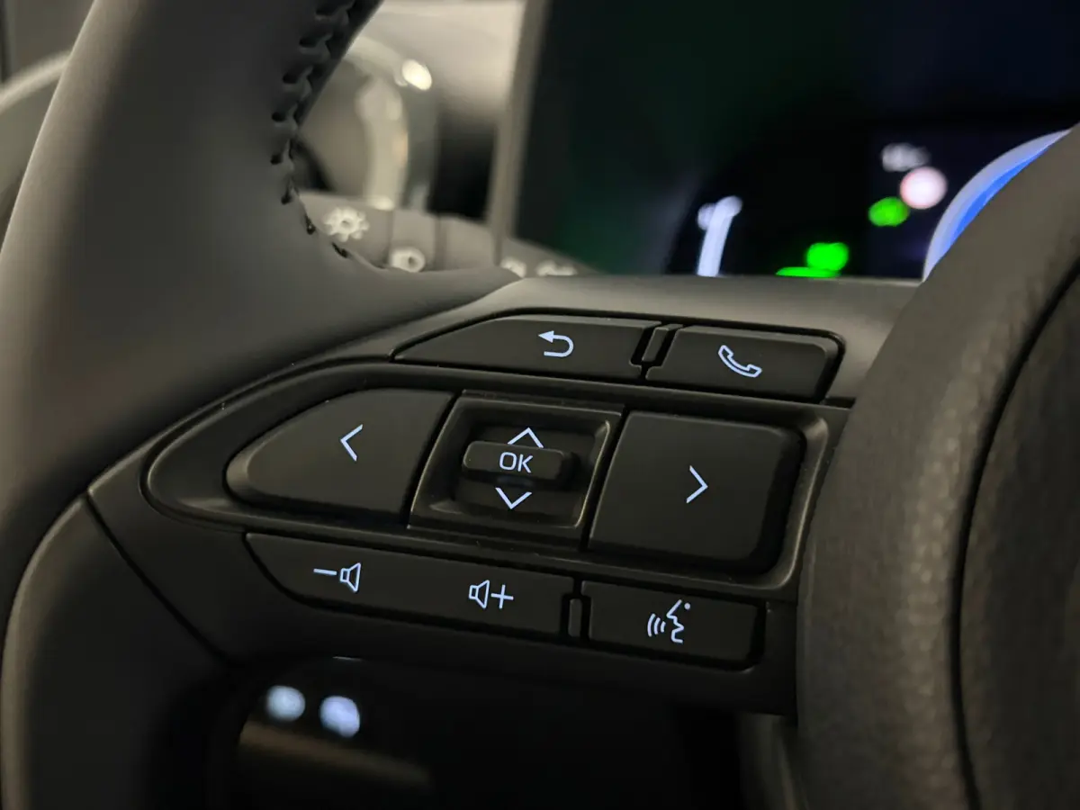 Hybrid 115 Pulse | Camera | Stoelverwarming | Parkeersensoren | Climate control |