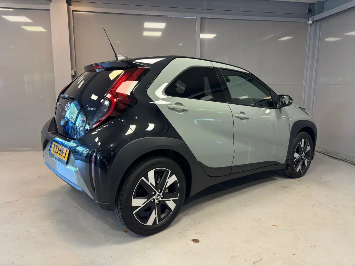 Hybrid 115 Pulse | Camera | Stoelverwarming | Parkeersensoren | Climate control |