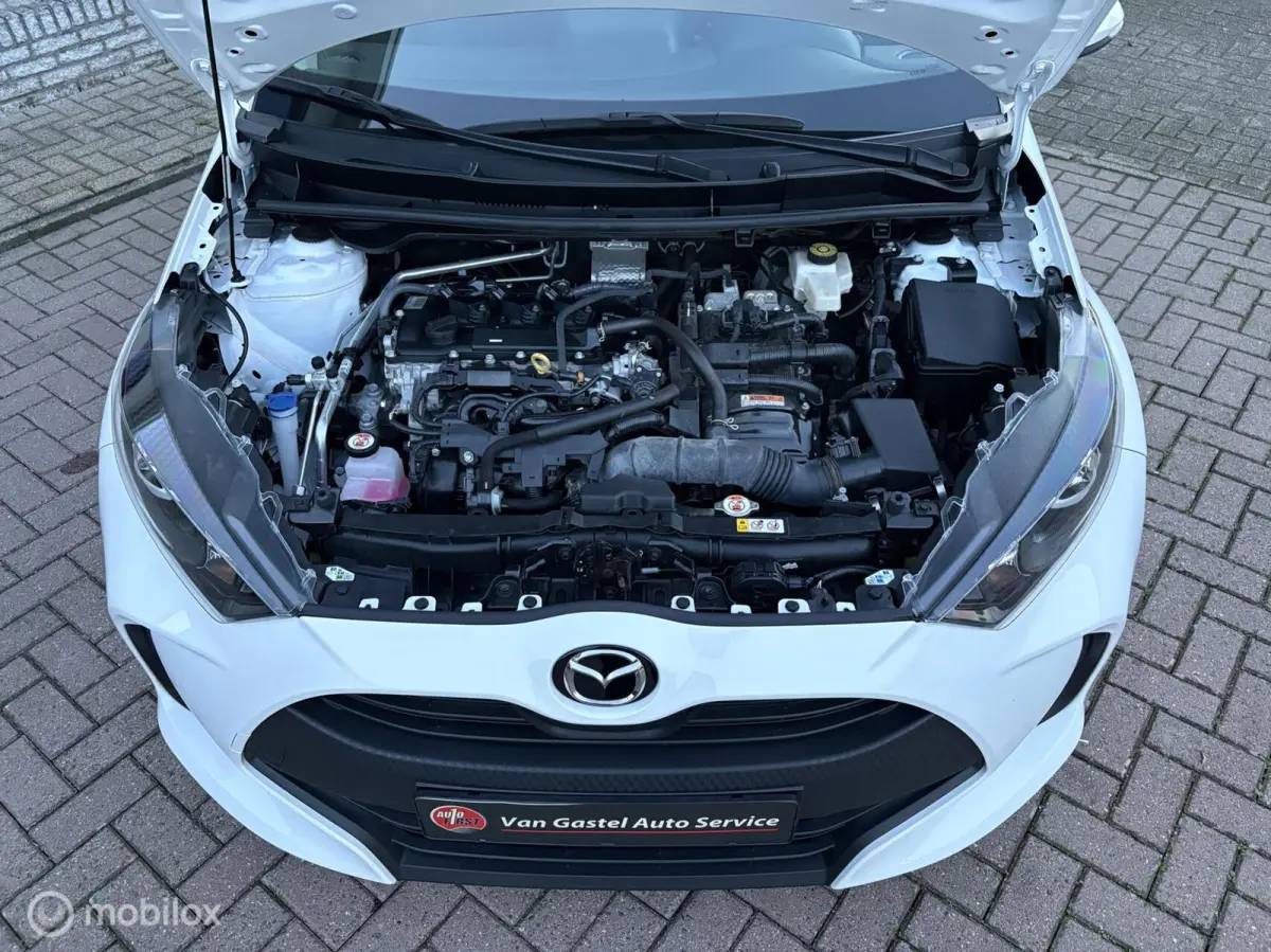 1.5 HYBRID/AUTOMAAT/CAMERA/CRUISE