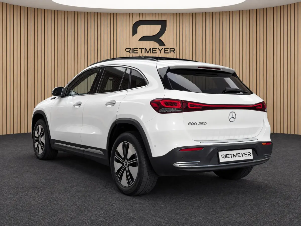 250 67 kWh |Pano |Stoelverw. |Burmester |Camera |Sfeer |