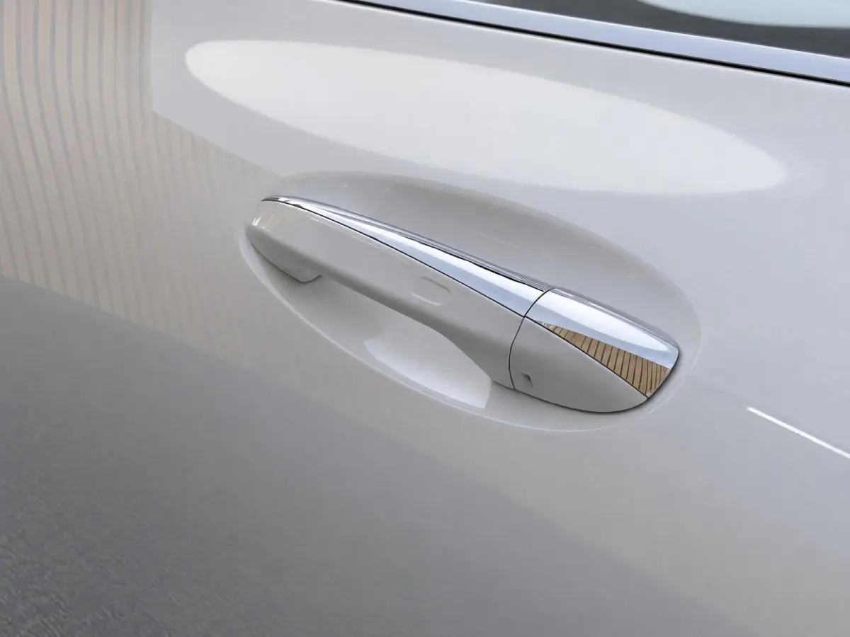 250 67 kWh |Pano |Stoelverw. |Burmester |Camera |Sfeer |