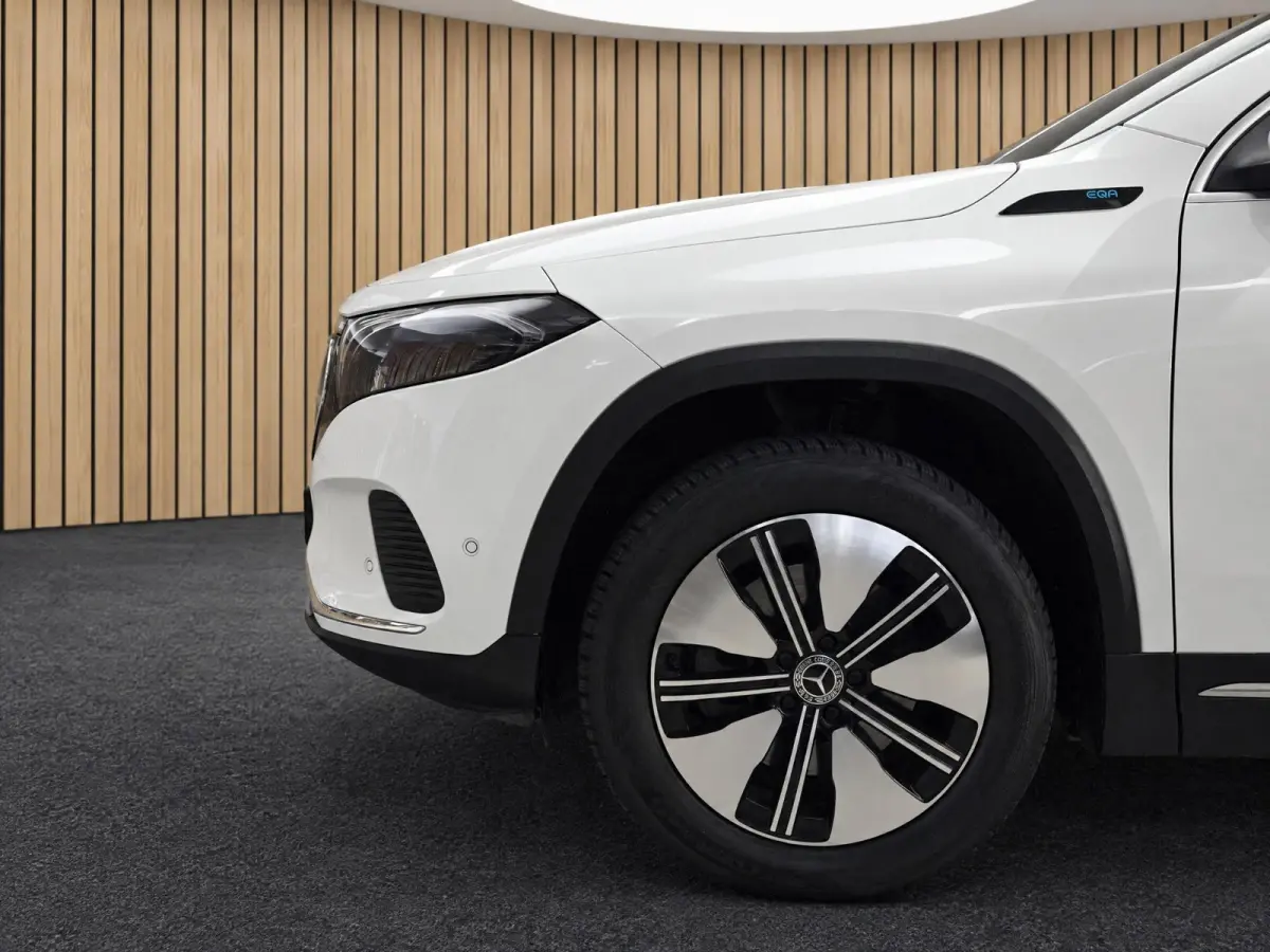 250 67 kWh |Pano |Stoelverw. |Burmester |Camera |Sfeer |