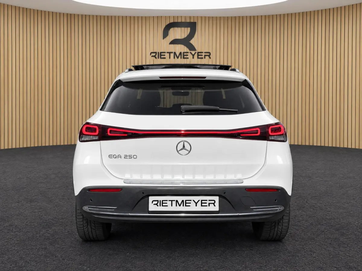 250 67 kWh |Pano |Stoelverw. |Burmester |Camera |Sfeer |