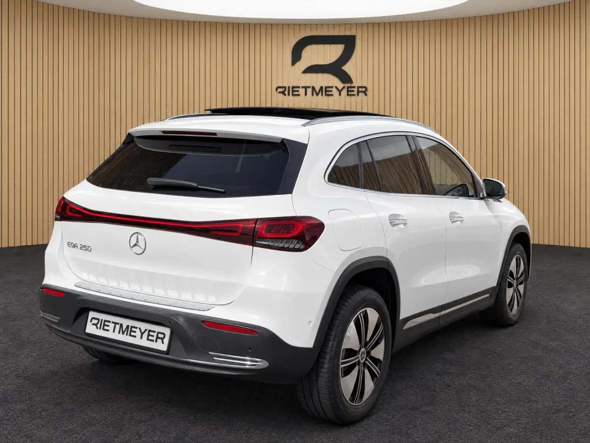 250 67 kWh |Pano |Stoelverw. |Burmester |Camera |Sfeer |