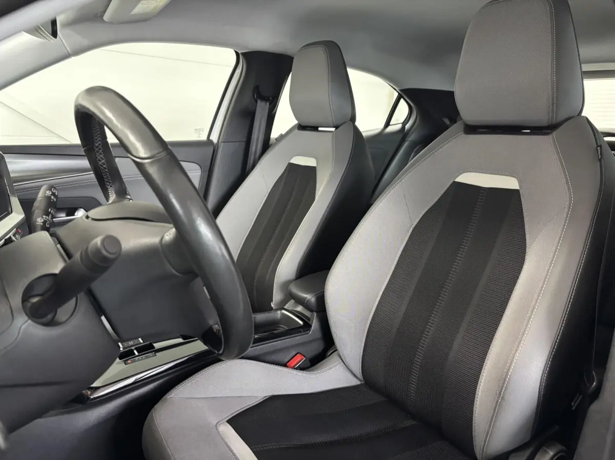 Business Elegance 50-kWh 11kw Stoel/stuur verwarming Navi