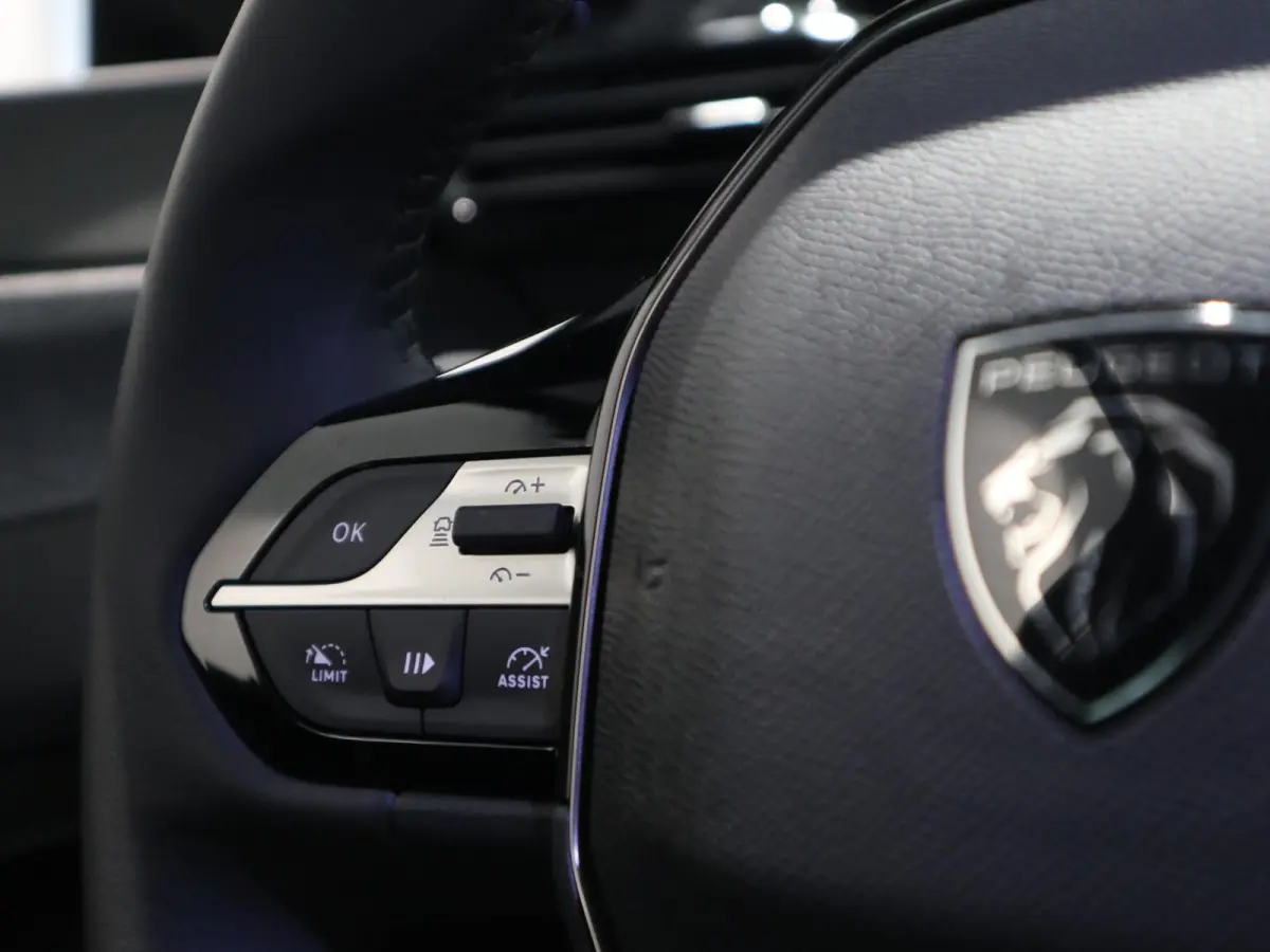 Allure 54 kWh CAMERA - CRUISE CONTROL - KEYLESS - BEL VOOR ACTUELE KM-STAND