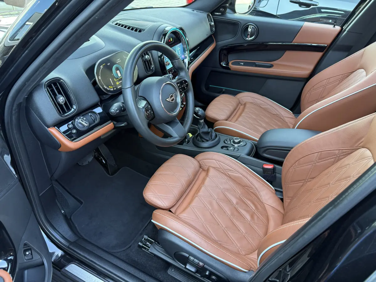 2.0 Cooper SE ALL4 Leder/Pano/Camera/Apple