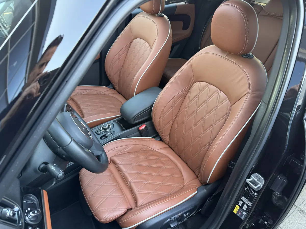 2.0 Cooper SE ALL4 Leder/Pano/Camera/Apple