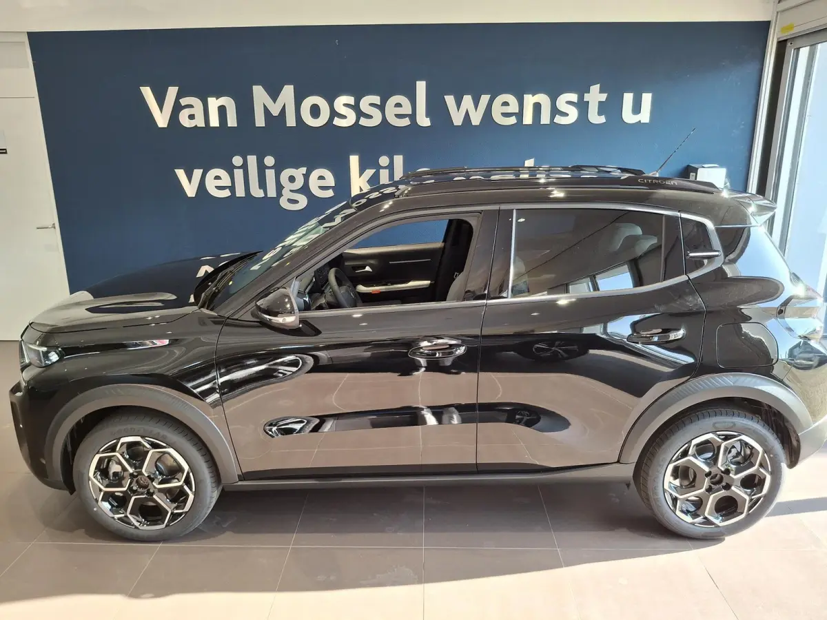 Max 113pk 44 kWh | Lm Velgen | Parkeercamera | Climate Control l Bel voor de actuele KM-Stand