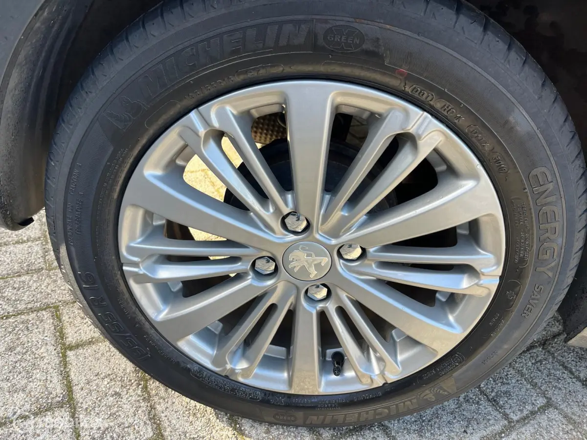1.2 PureTech Blue Lease Executive