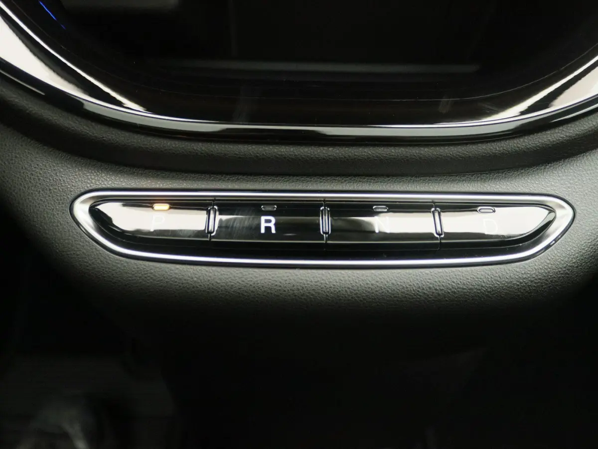 Icon 42 kWh | 17" lichtmetalen velgen | Panorama dak | Tot 8 jaar garantie | Demo |
