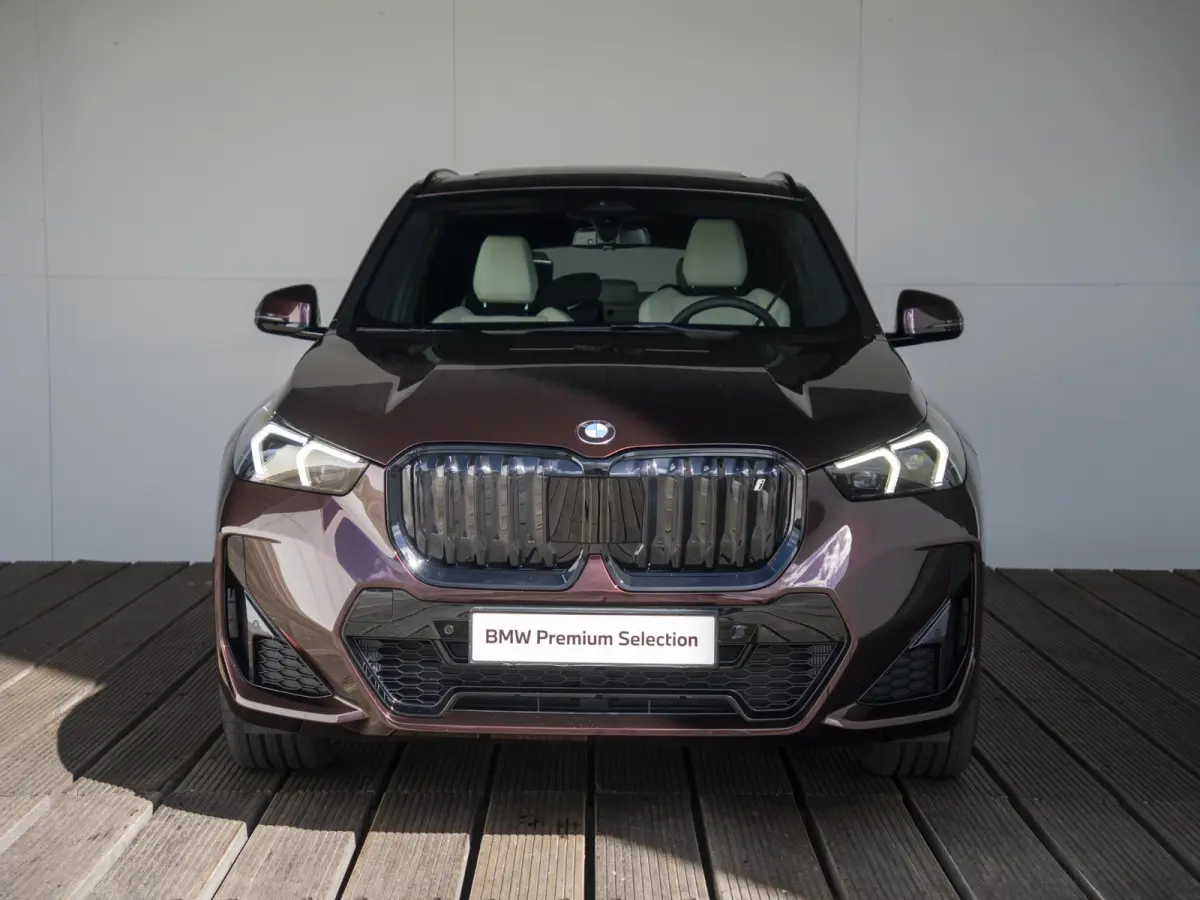 eDrive20 | M Sportpakket Pro | Comfort Access | Panoramadak | Harman Kardon | Voorstoelen verwarmd | 21 inch