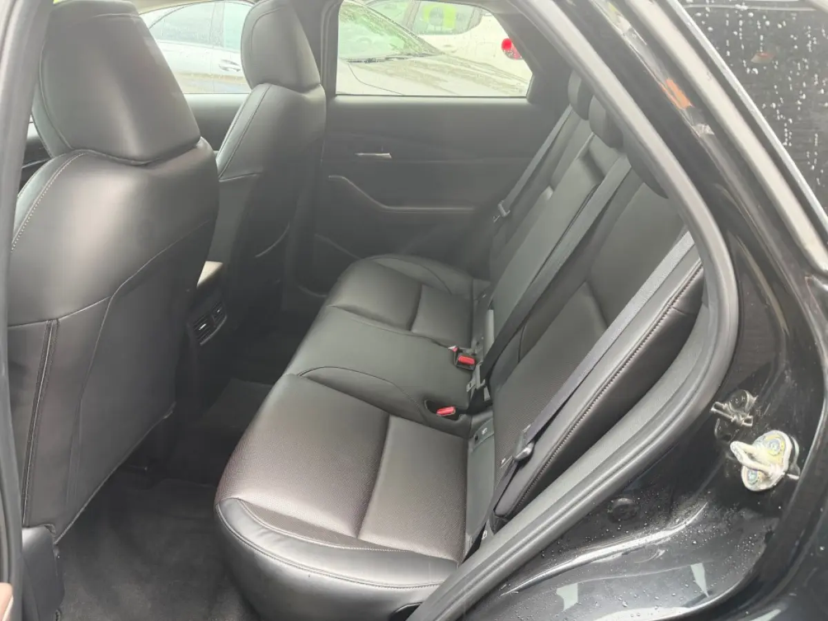 2.0 ESA-X LUXURY