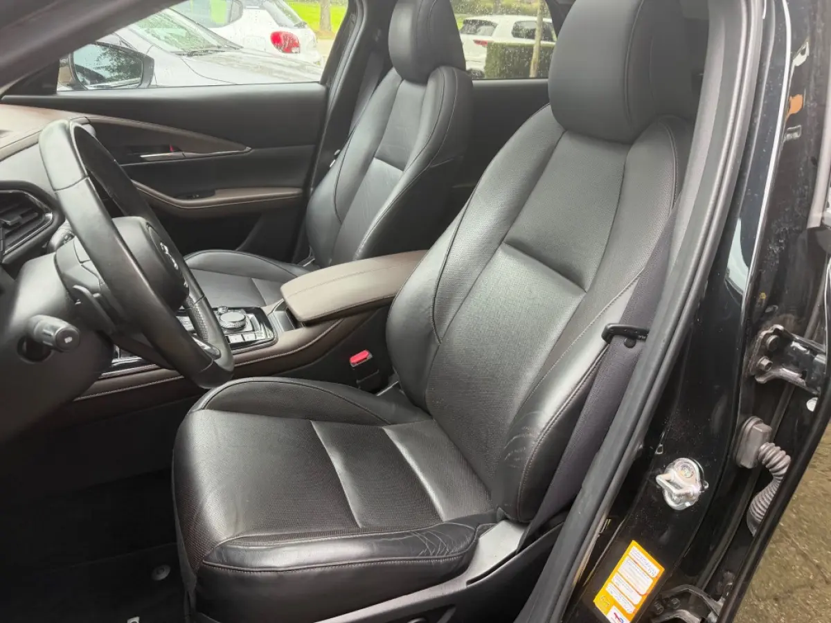 2.0 ESA-X LUXURY