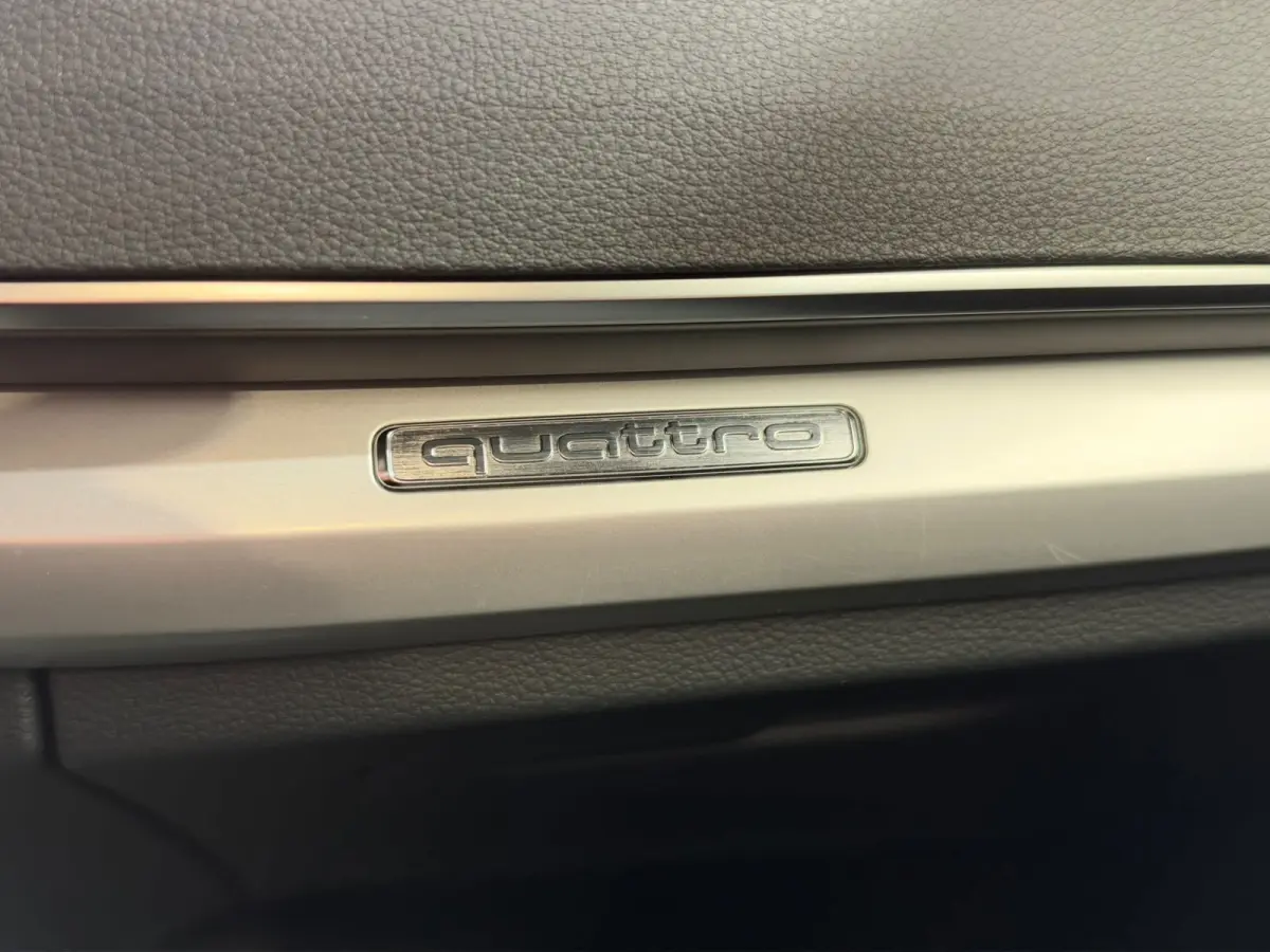 55 TFSI e 367 PK S Edition S-line Panorama/Keyless/Black Edition