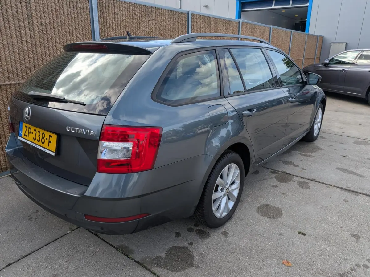 1.0 TSI Greentech Business Edition