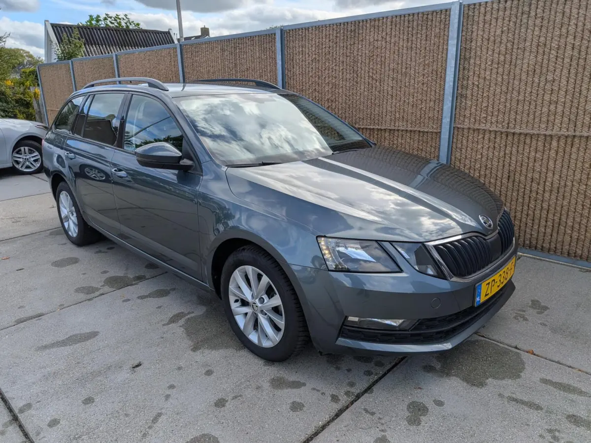 1.0 TSI Greentech Business Edition