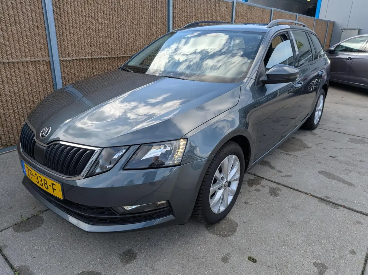 1.0 TSI Greentech Business Edition