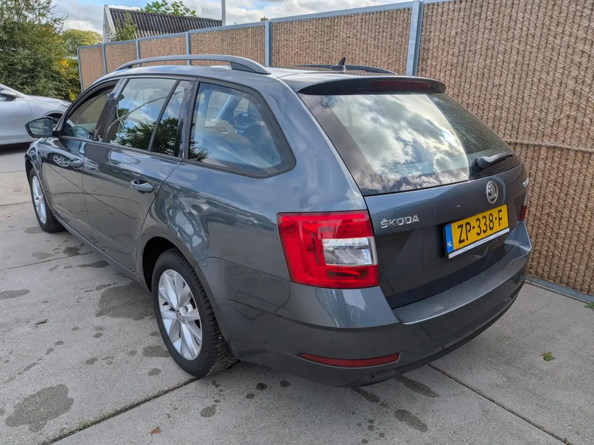 1.0 TSI Greentech Business Edition