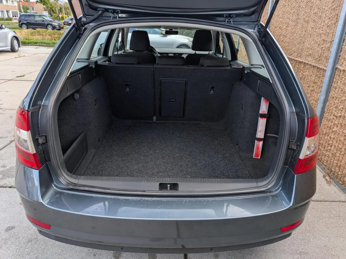 1.0 TSI Greentech Business Edition