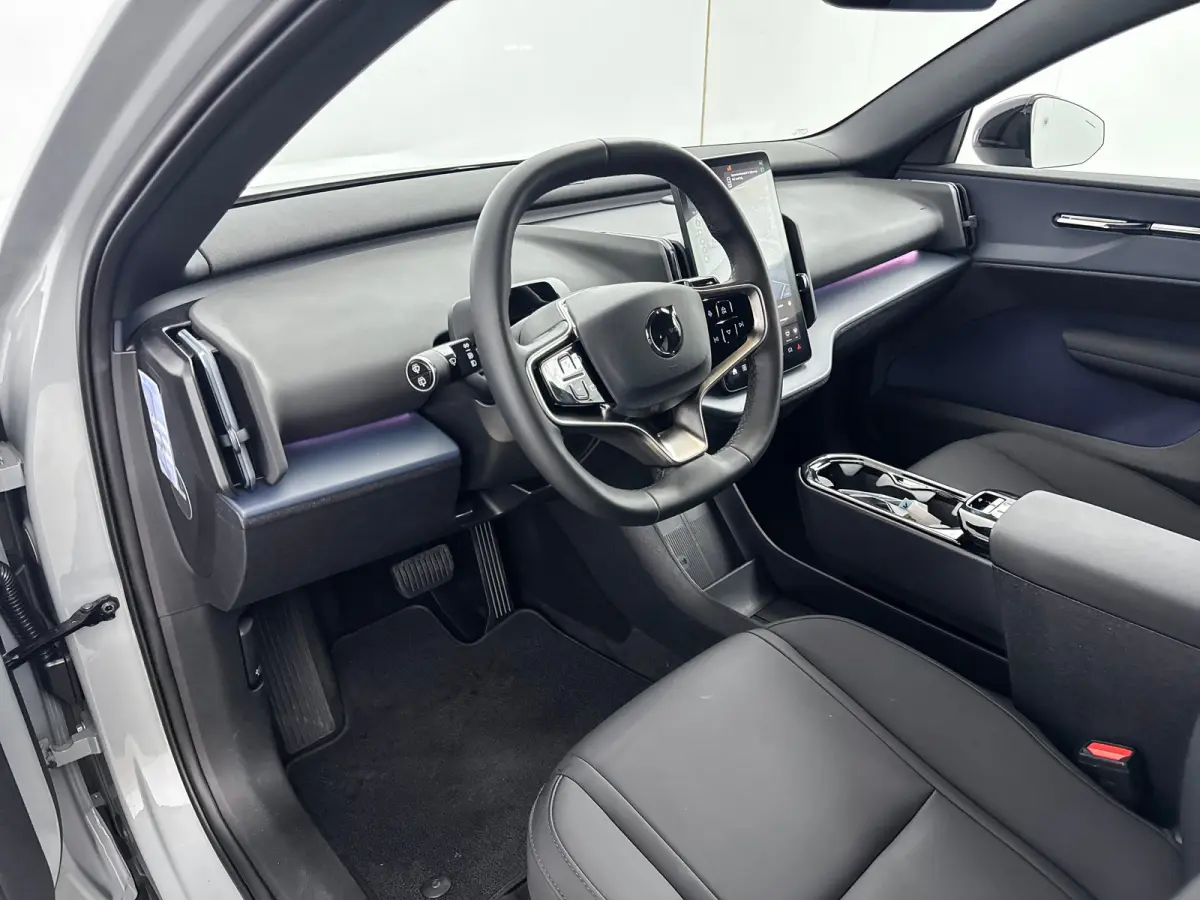 Single Motor Extended Range Plus 69 kWh | 19" | Stoel/Stuurverwarming | Warmtepomp | Getint Glas | Harman Kardon | Adaptieve Cruise | BLIS | Keyless