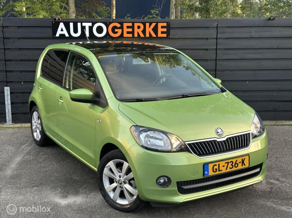 1.0 Greentech Edition | 23dkm | Pano | Airco