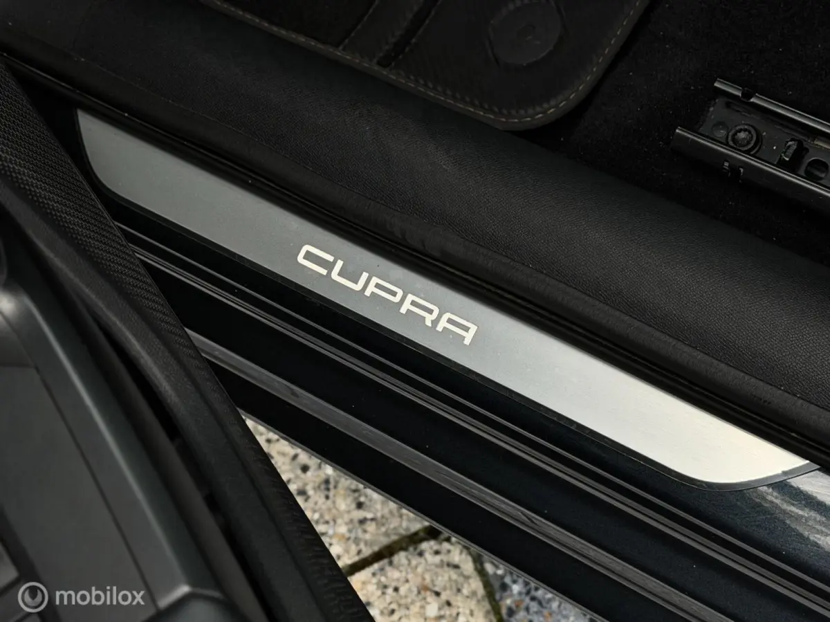 2.0 TSI 300 pk |Keyless|Sfeer|ACC|Stuurverwarming