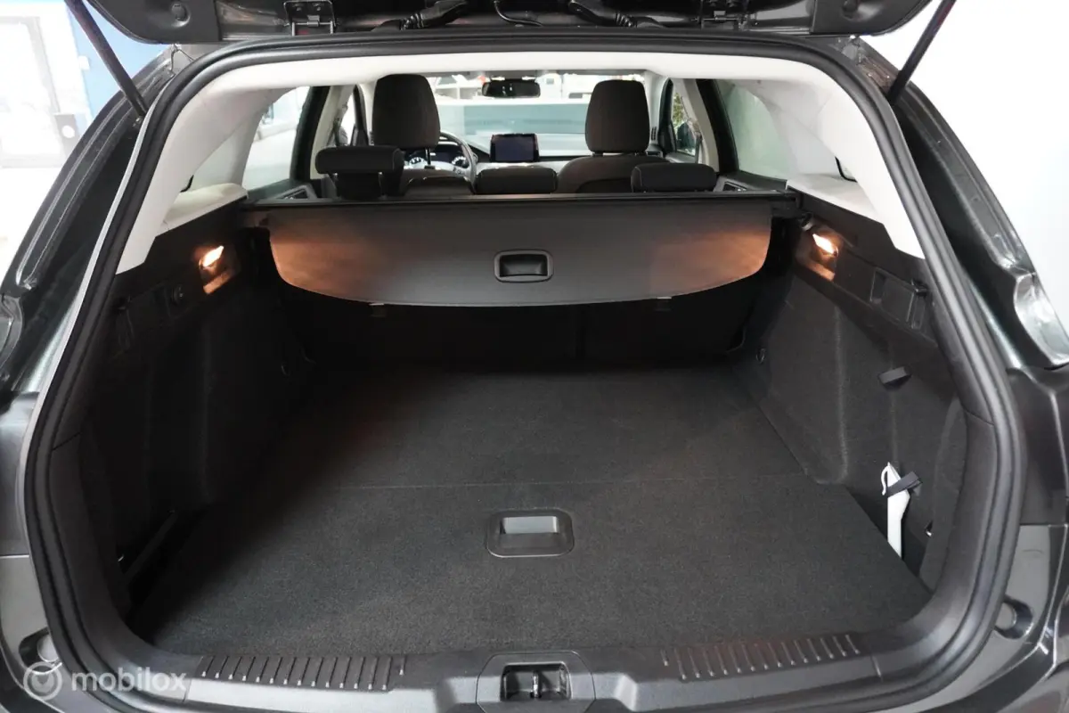 1.0 EcoBoost Titanium Business |Winterpack|