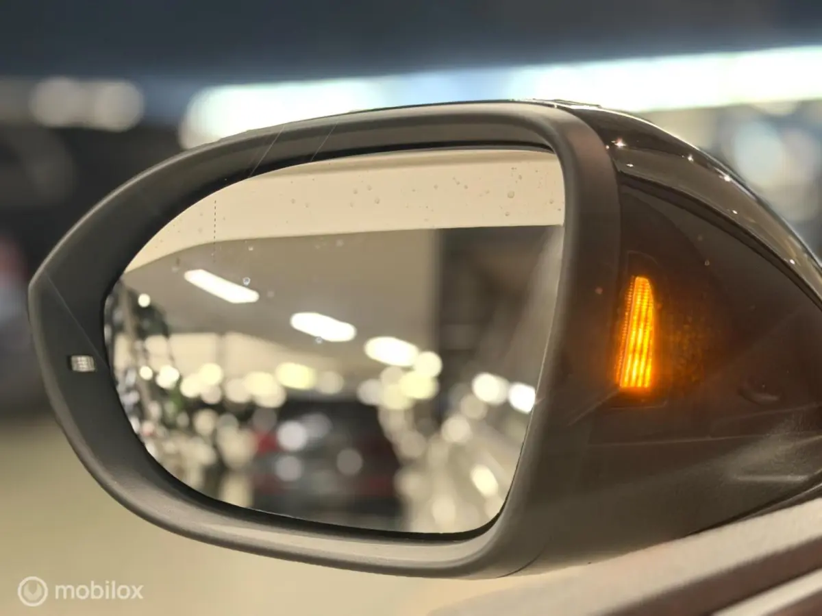 1.0 TSI R-Line Panorama/Ascot/Keyless/Trekhaak