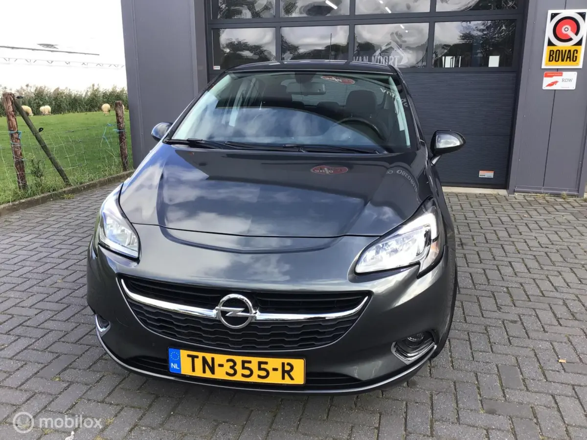 1.4 Online Edition.Mooie opties.Automaat/trekhaak