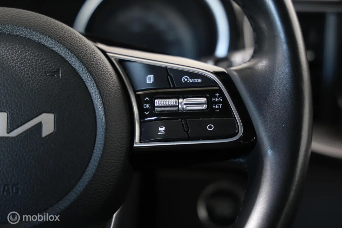 1.6 GDi PHEV DynamicPlusLine - Stuur/Stoelverwarming - Trekhaak - Carplay