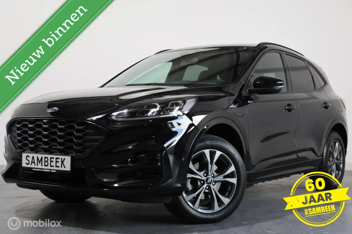 2.5 PHEV ST-Line - Carplay - Stuur/Stoelverwarming - Camera