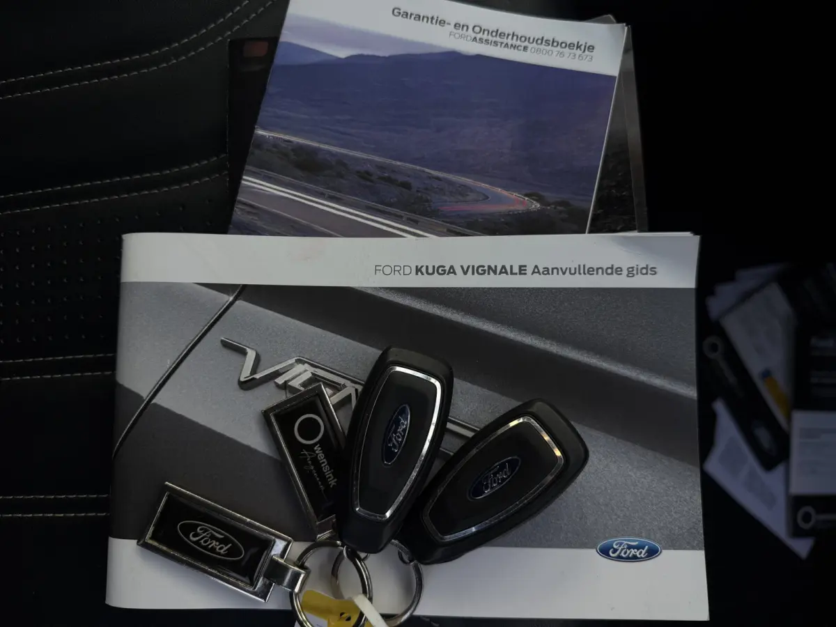 2.5 PHEV Vignale Aut., Camera | Navi & CarPlay | Orig. NL auto