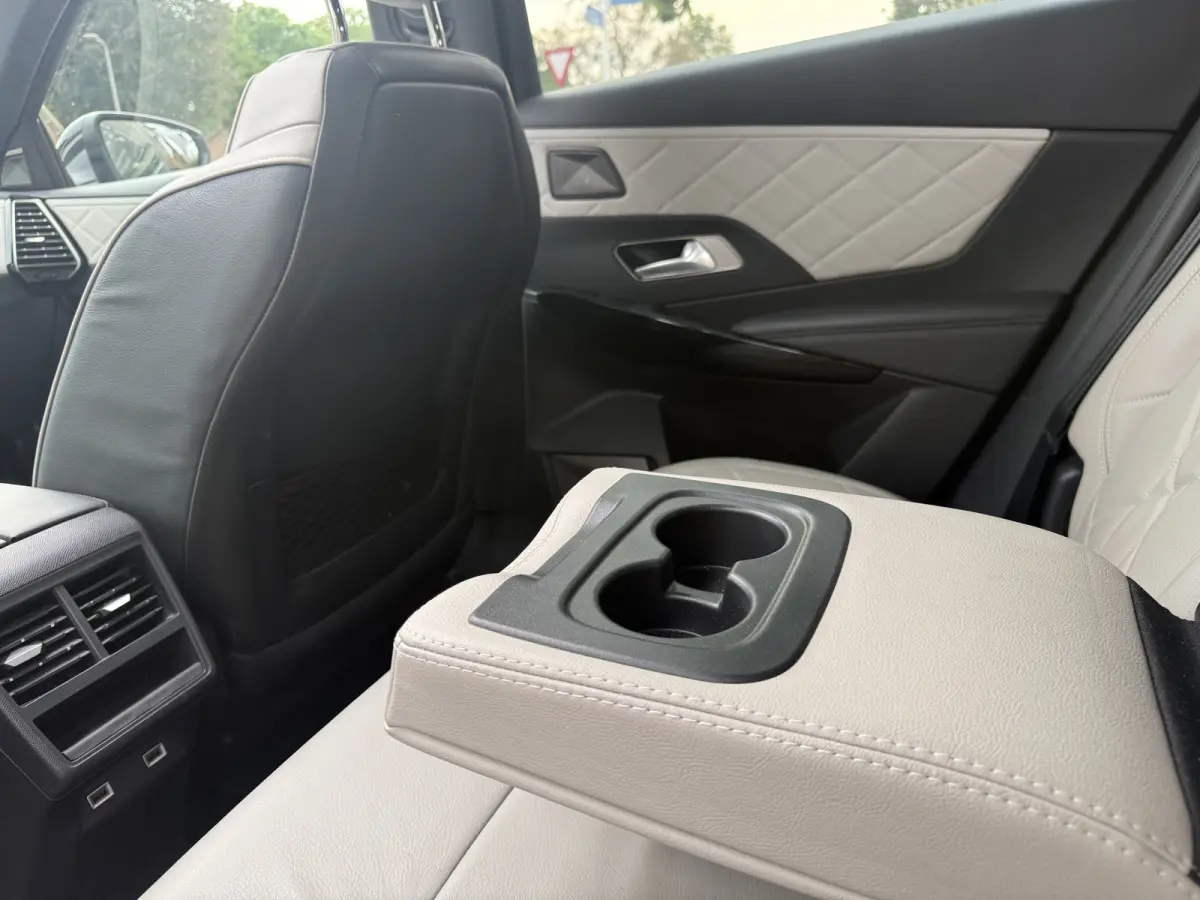 E-Tense 4x4 Rivoli Aut., SOH 95% | Pano | Trekhaak | Leer | Orig. NL auto