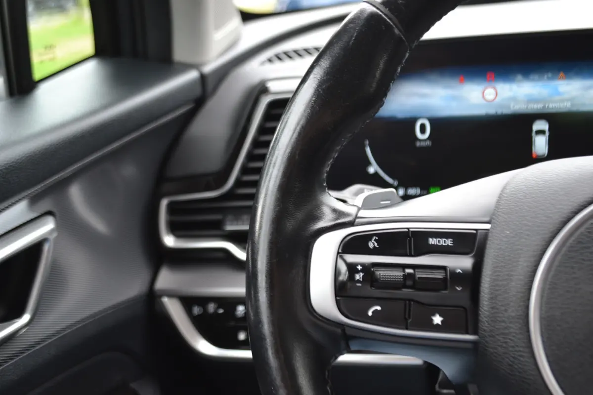 1.6 T-GDi Plug-in Hybrid AWD DynamicLine Achteruitrij camera | Stuur en stoel verw. v+a | Trekhaak