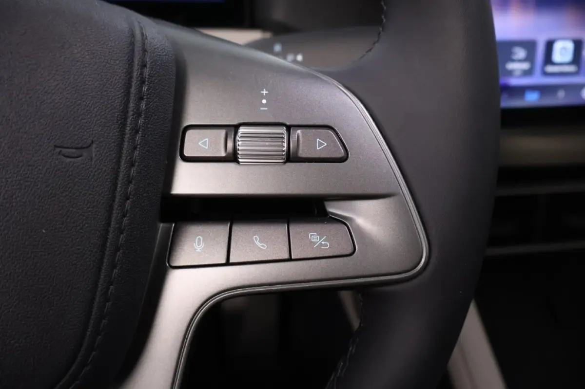 1.5 DM-i Boost | Plug-in Hybrid | Compact
