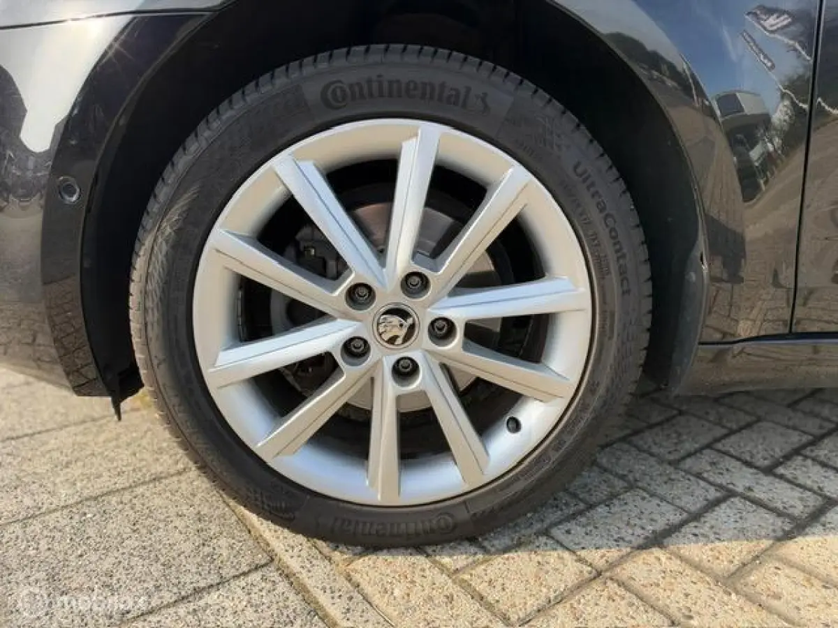 1.0 TSI Greentech Ambition Business