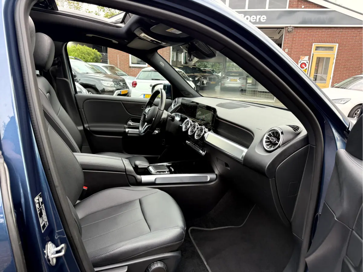 250 Luxury Line 67 kWh SOH 95.6%,Panoramadak, Camera, Stoelverwarming