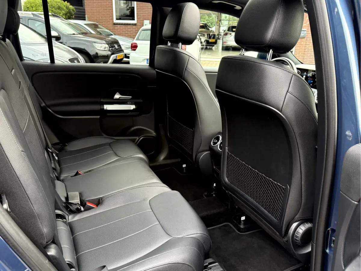 250 Luxury Line 67 kWh SOH 95.6%,Panoramadak, Camera, Stoelverwarming