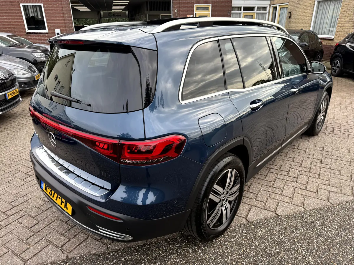 250 Luxury Line 67 kWh SOH 95.6%,Panoramadak, Camera, Stoelverwarming
