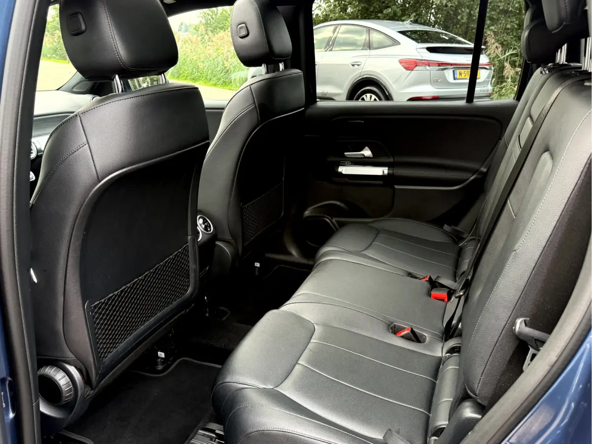 250 Luxury Line 67 kWh SOH 95.6%,Panoramadak, Camera, Stoelverwarming