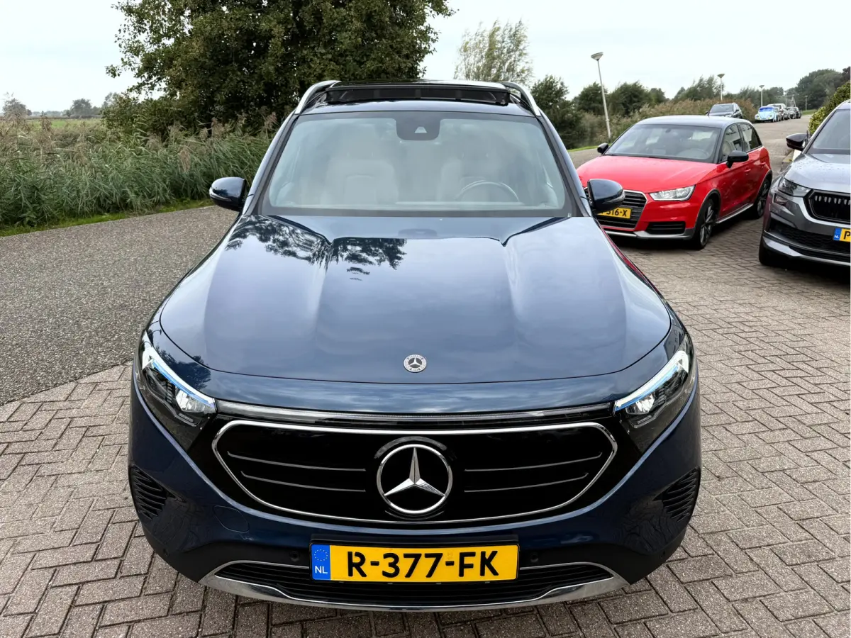 250 Luxury Line 67 kWh SOH 95.6%,Panoramadak, Camera, Stoelverwarming