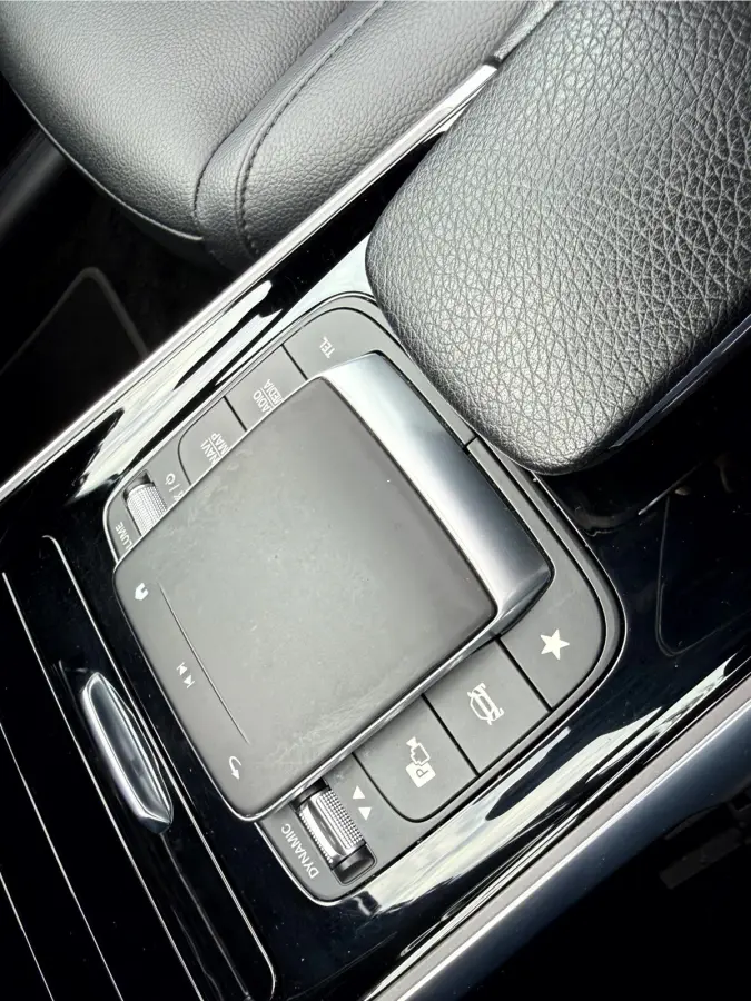250 Luxury Line 67 kWh SOH 95.6%,Panoramadak, Camera, Stoelverwarming
