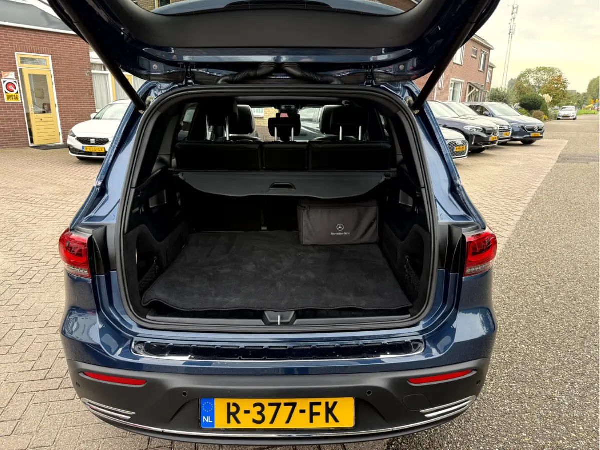 250 Luxury Line 67 kWh SOH 95.6%,Panoramadak, Camera, Stoelverwarming